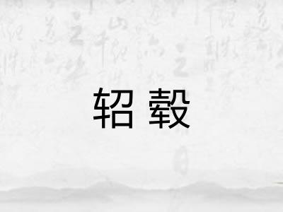 轺毂