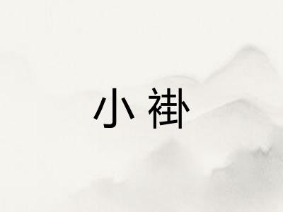 小褂 小褂