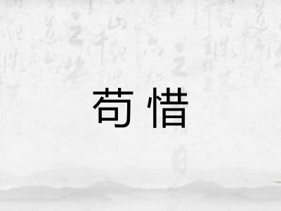 苟惜 苟惜