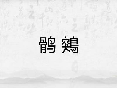 鹘鶟 鹘鶟