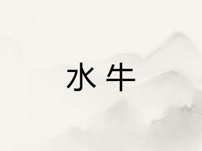 水牛 水牛