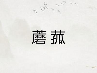 蘑菰