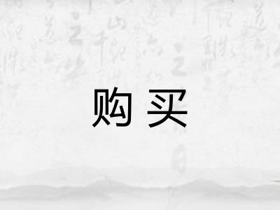 购买 购买