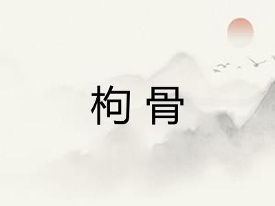 枸骨 枸骨