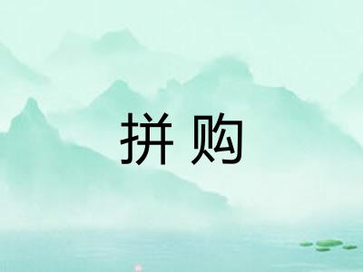拼购 拼购