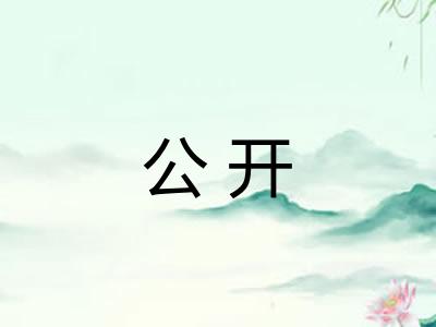 公开 公开