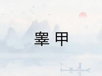 睾甲 睾甲