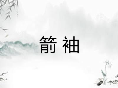 箭袖 箭袖