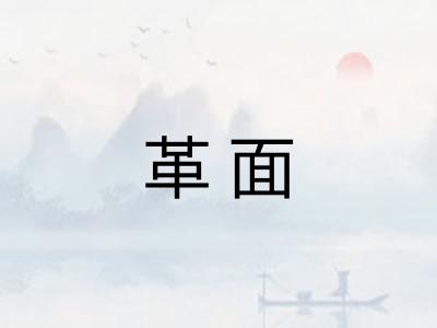 革面 革面