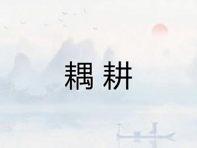 耦耕