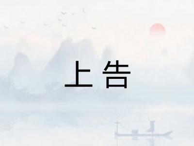 上告 上告
