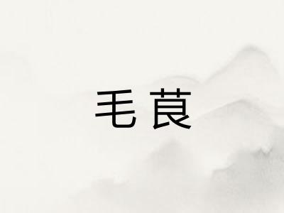 毛茛 毛茛