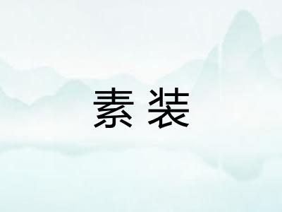 素装 素装