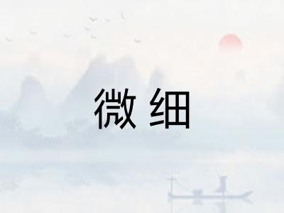 微细