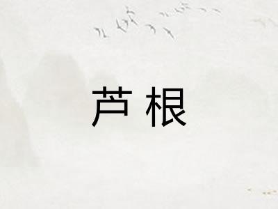 芦根