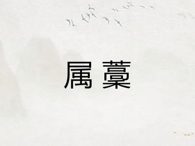属藳 属藳