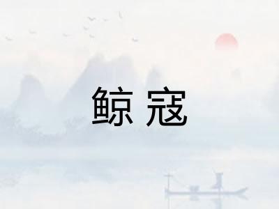 鲸寇 鲸寇