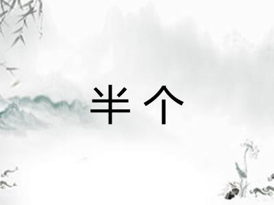 半个 半个