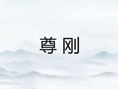 尊刚 尊刚