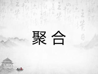 聚合 聚合