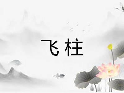 飞柱