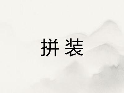拼装 拼装
