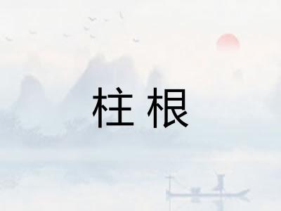 柱根 柱根