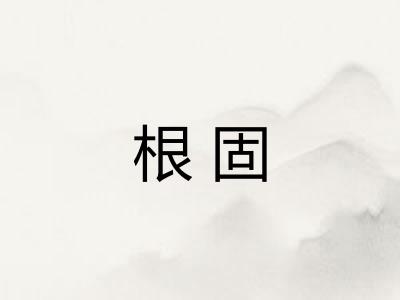 根固 根固