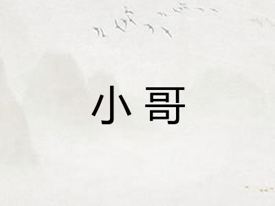 小哥 小哥