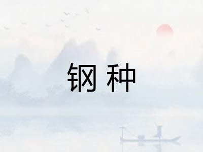 钢种 钢种