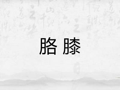 胳膝 胳膝