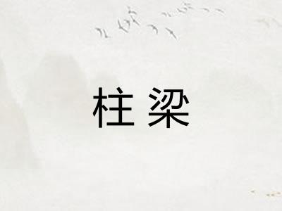 柱梁 柱梁