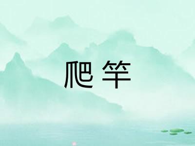 爬竿 爬竿