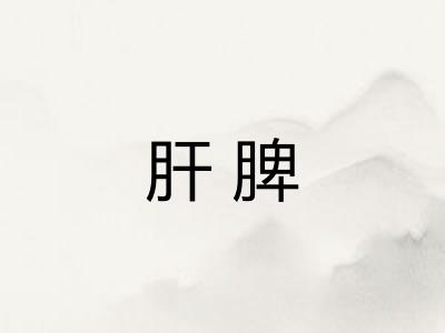 肝脾 肝脾