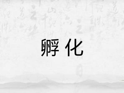 孵化 孵化