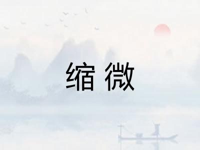缩微 缩微