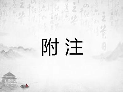 附注 附注