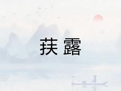 荴露 荴露