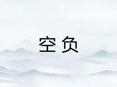 空负 空负