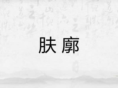 肤廓 肤廓