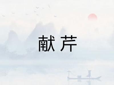献芹 献芹