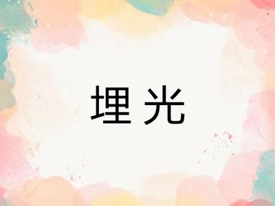 埋光 埋光