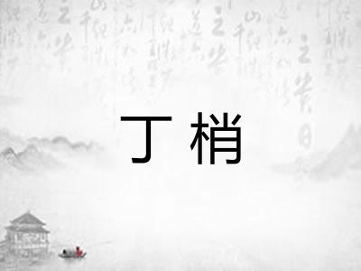丁梢 丁梢