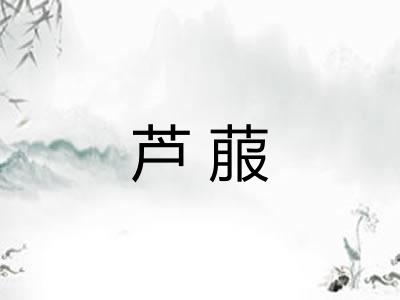 芦菔 芦菔