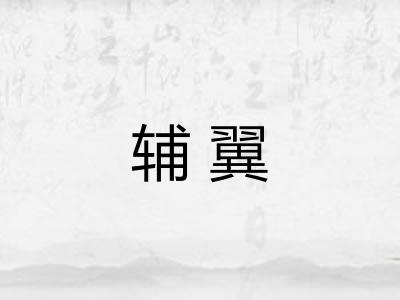 辅翼