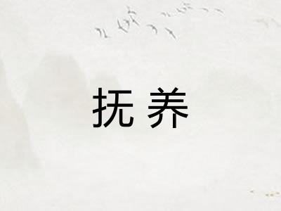 抚养 抚养