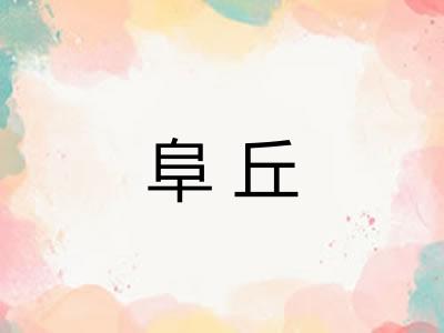 阜丘 阜丘