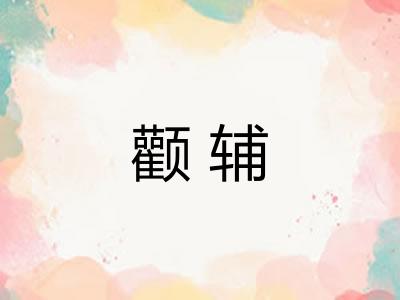 颧辅 颧辅