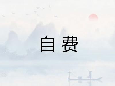 自费 自费