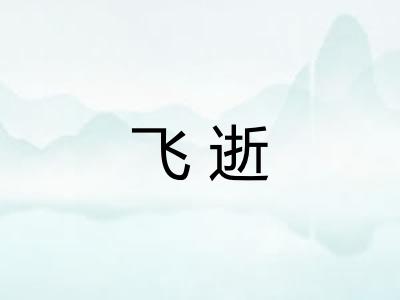 飞逝 飞逝